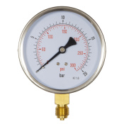 gauge62-100s.jpg