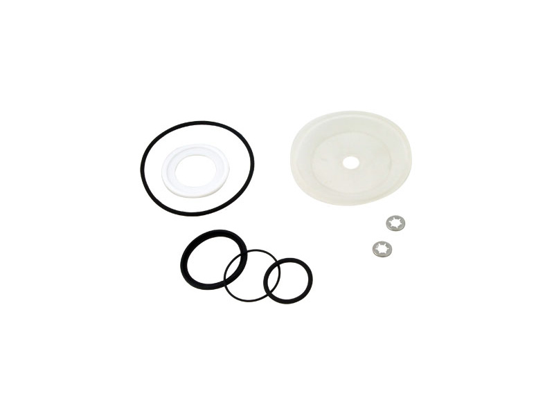 DN25 Fig.542 Seal Kit