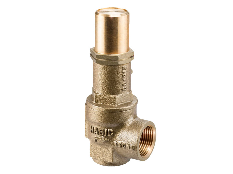 2" Fig 542L Safety Valve