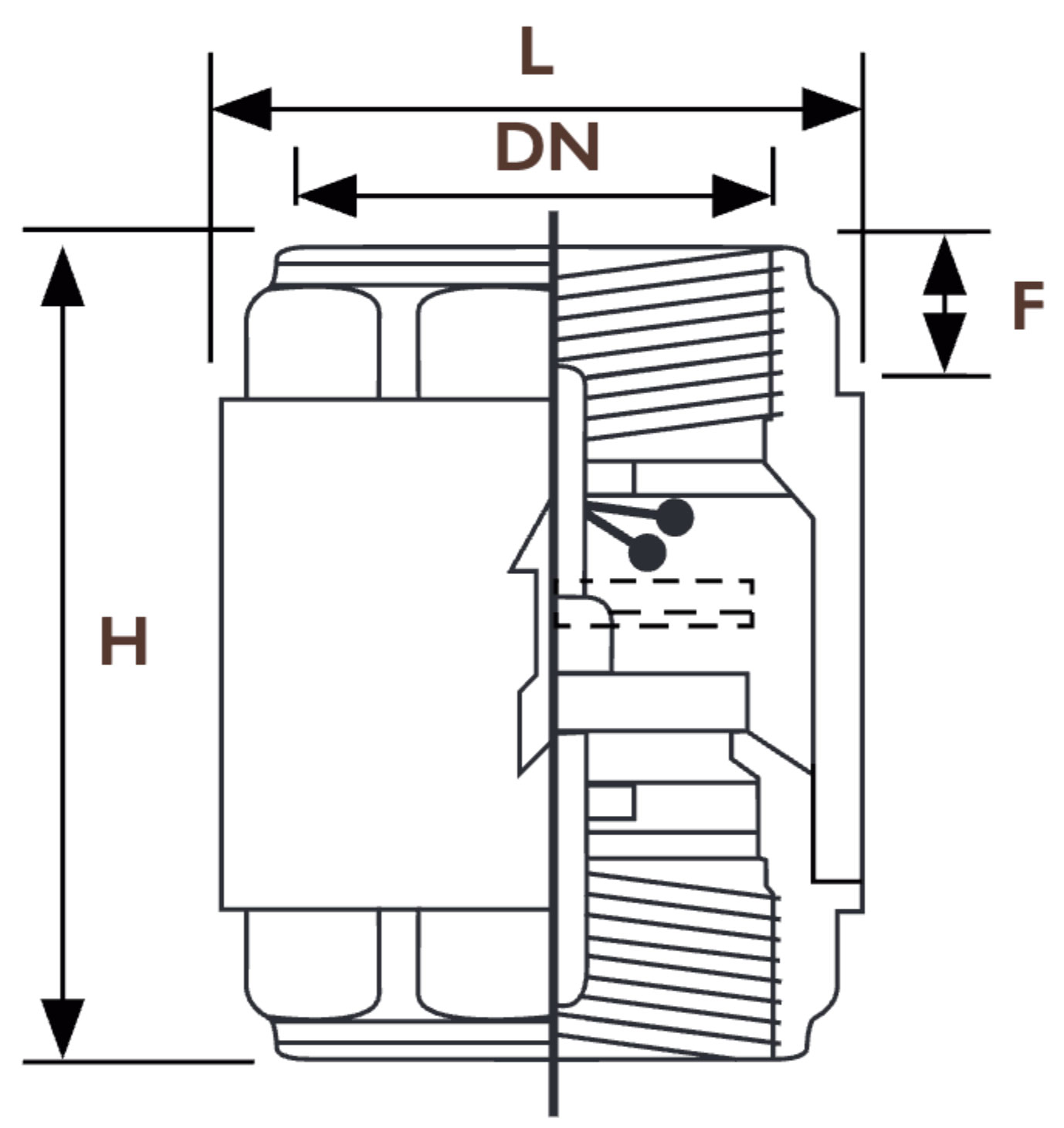 Brass Spring Check Valve Cross Section