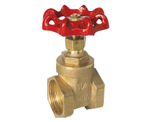 1/2" BSP Brass Gate Valve PN16