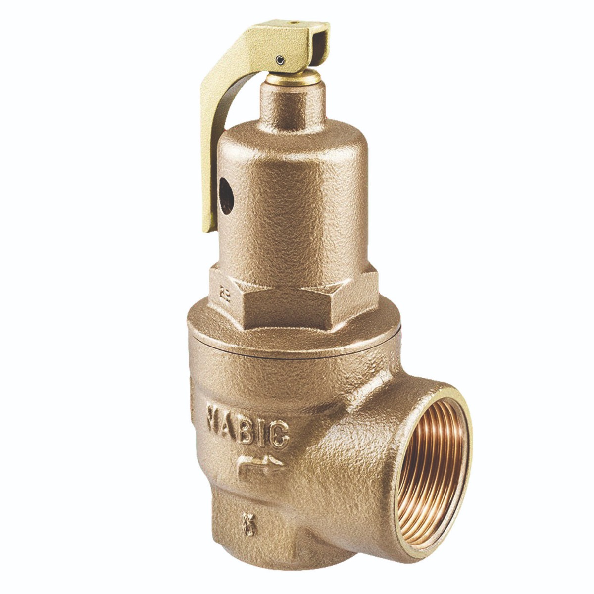 1 1/2" Fig 500 Safety Valve