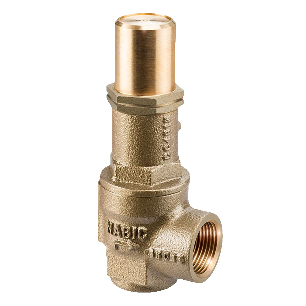 1/2" Fig 542L Safety Valve